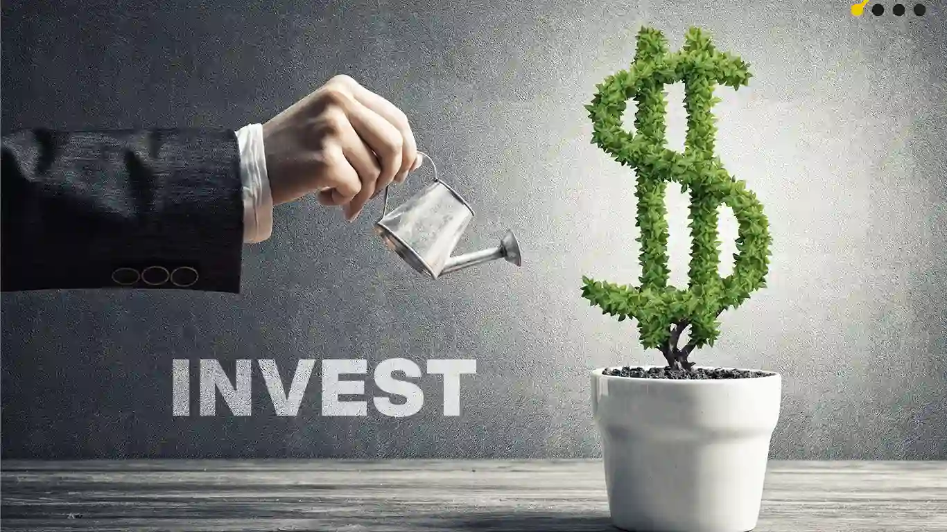  Invest in Professional Help