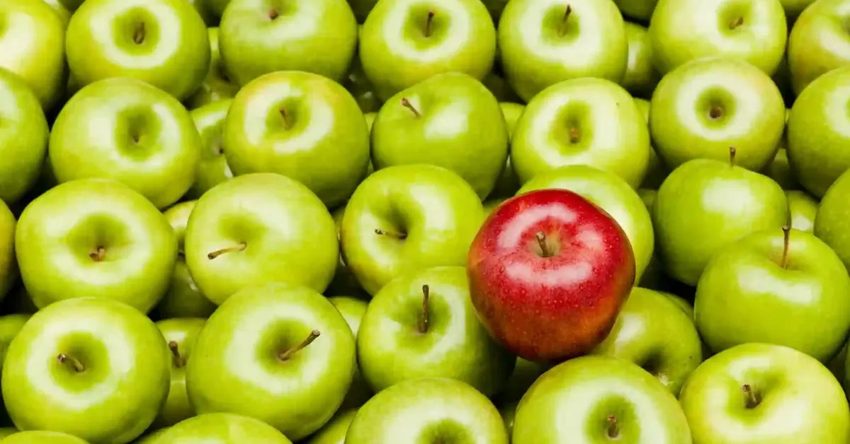 Develop a Unique Brand Identity
