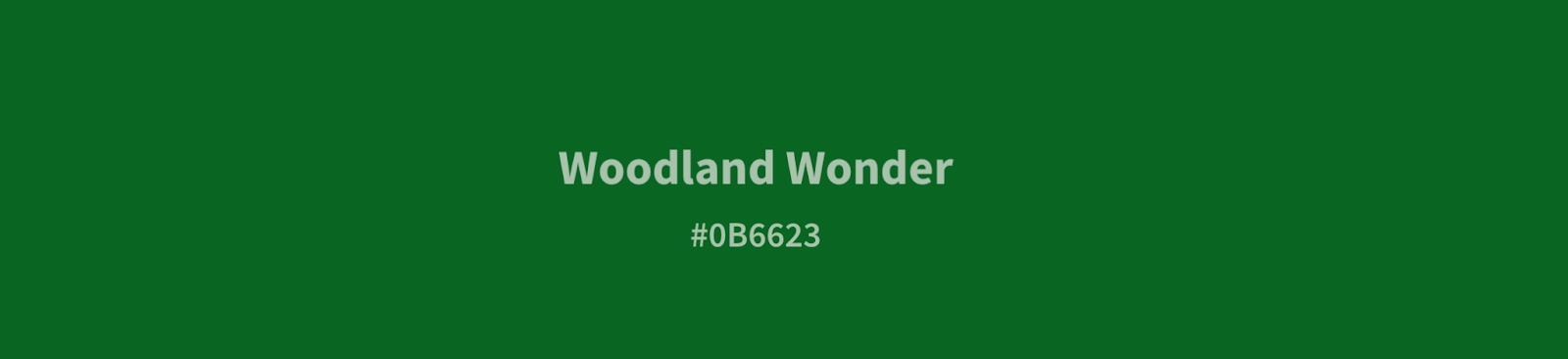 Woodland Wonder